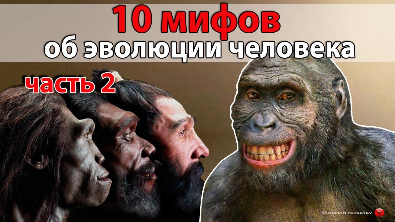 мифы об эволюции человека