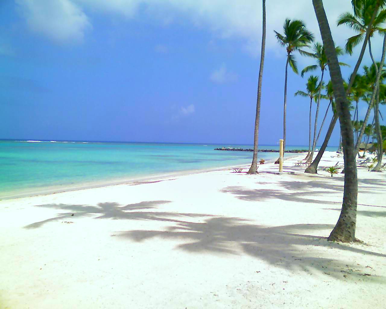 Tonica Ginger: Punta Cana