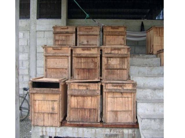 La fermentación representa una etapa crucial en el desarrollo de los precursores del aroma del chocolate. Cajones de fermentación para cacao.