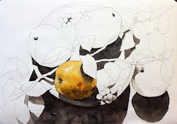 NAMIL ART: [ watercolor step by step] Mosquito still life