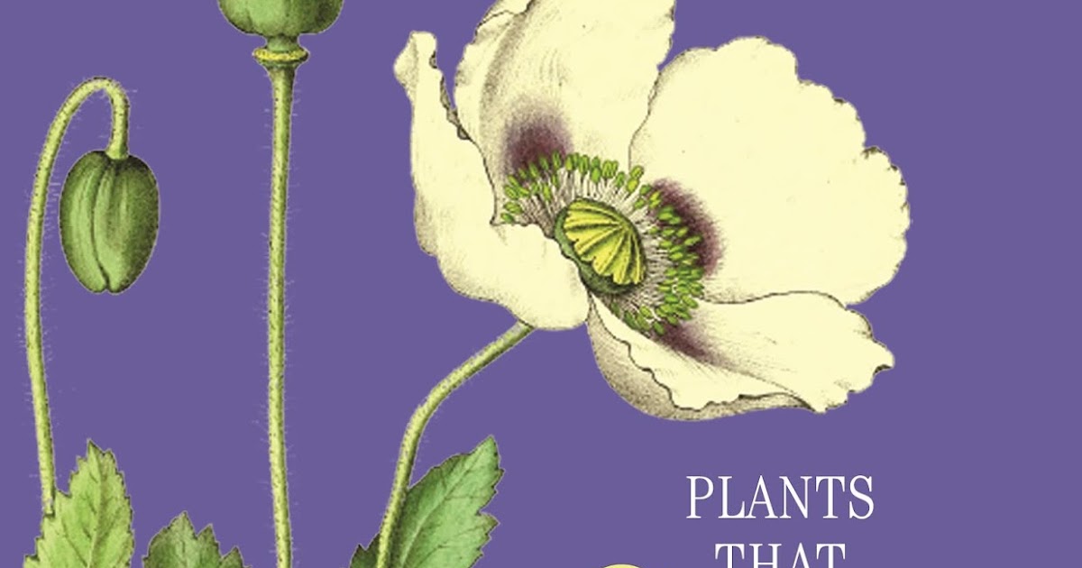 Book Review Plants That Cure Princeton University Press Travels