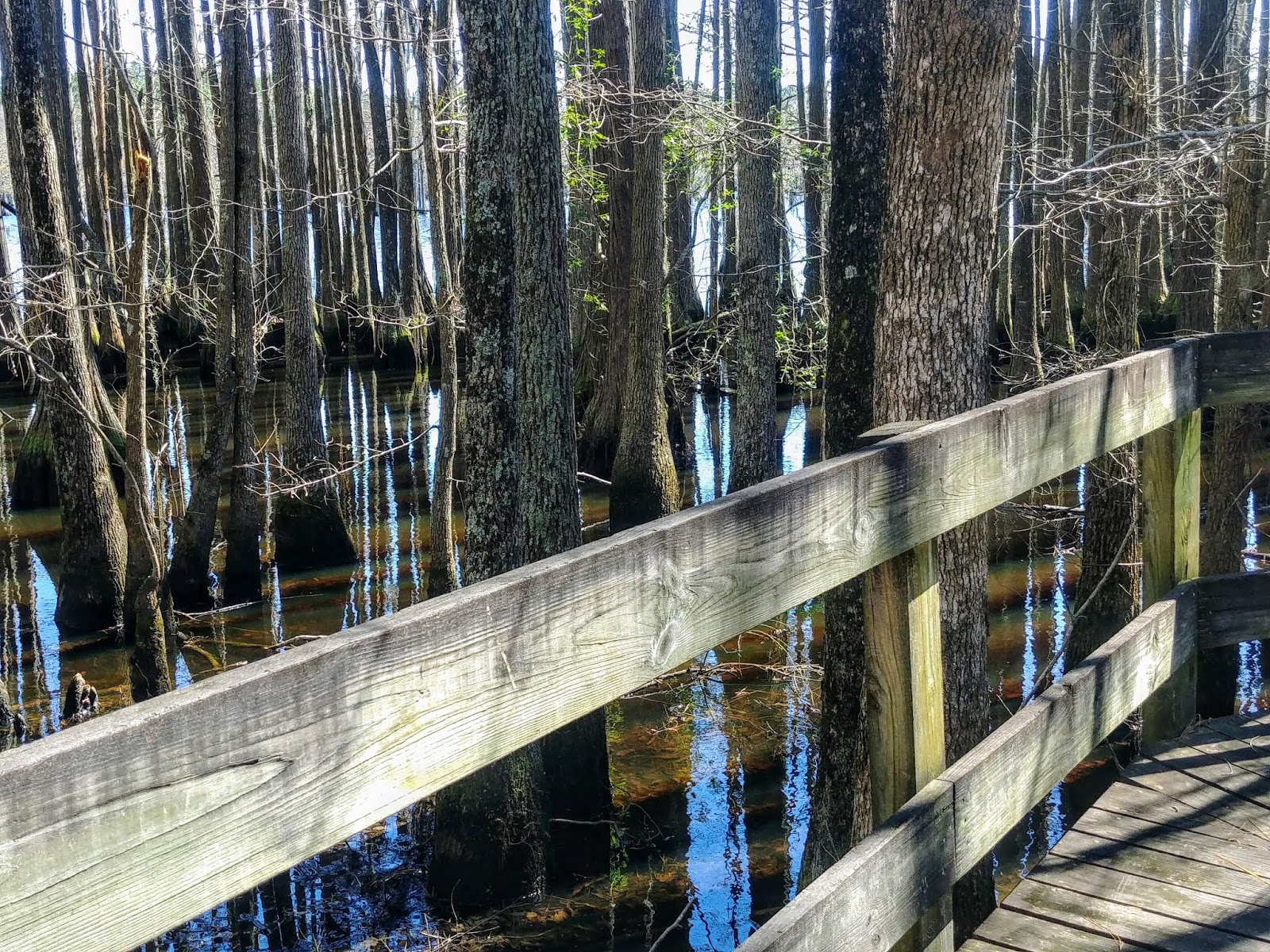 Another Mile Another Destination Blog L. Smith State Park, Twin