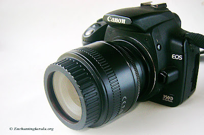 DIY Lens Reversal Cap / UV Filter for Macro Photography DIY Lens Reversal Cap / UV Filter for Macro Photography