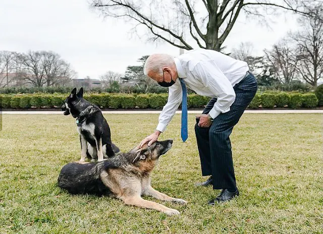President Biden with his two dogs on the White House lawn
