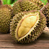 Nous avons enfin goûté le durian !
