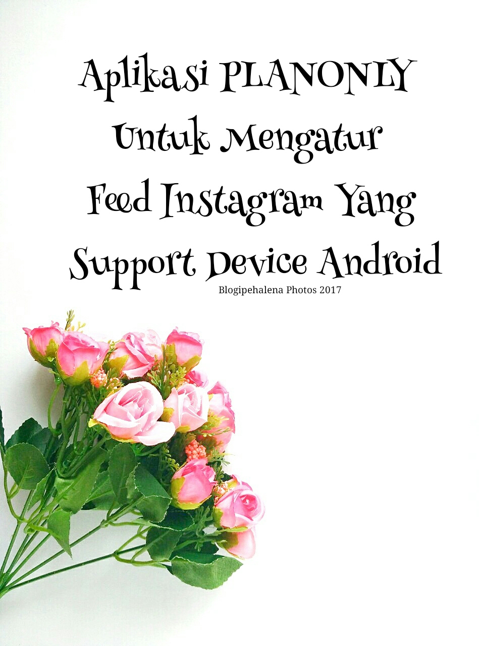 Aplikasi Planonly Untuk Mengatur Feed Instagram Support Semua Device