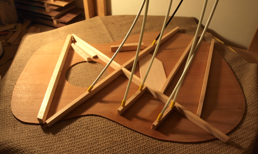 Wood With Strings The Fingerstyle Guitar Fun With Hide Glue