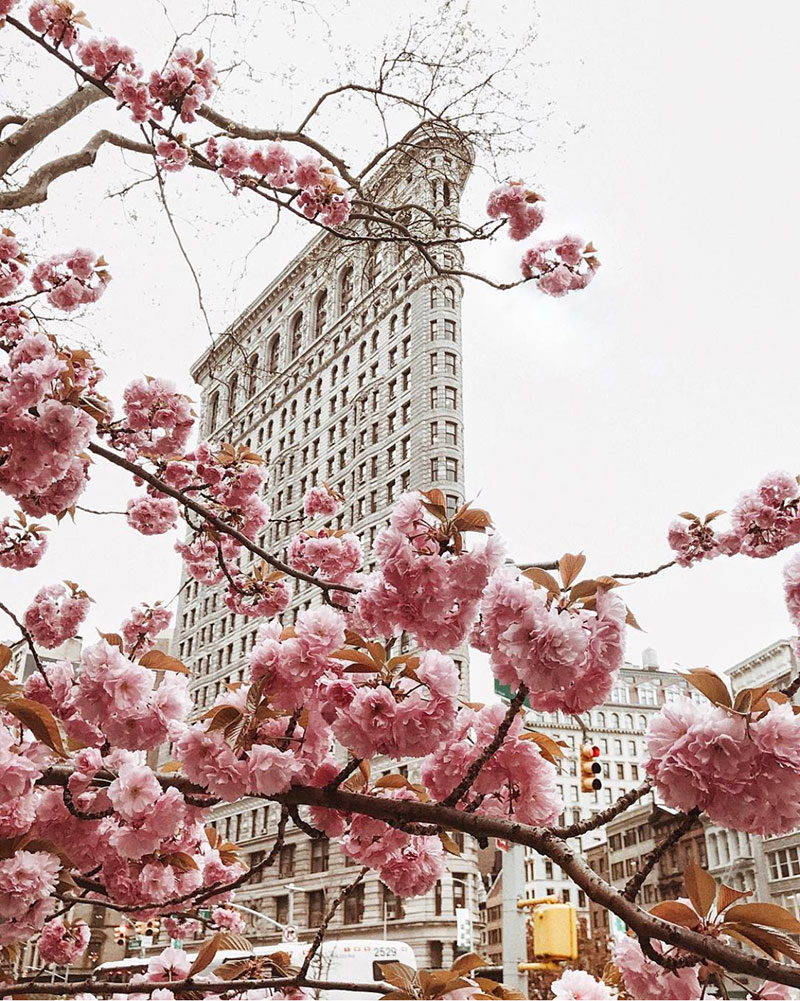 Colour Story: Dusky Pinks for Springtime in Spain