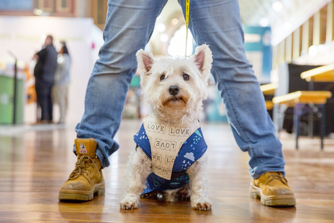 Sydney Dog Lovers Show August 3 & 4 Australian Dog Lover