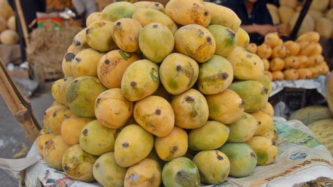 India-Pakistan 'Mango Diplomacy' Isn't Fruitful | How To Pray Namaz
