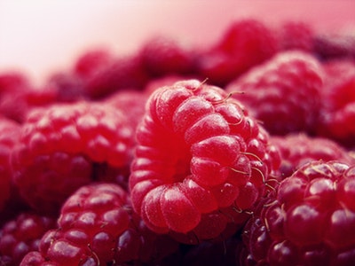 Can Dogs Eat Raspberries? Is Dogs Safe For Raspberries?