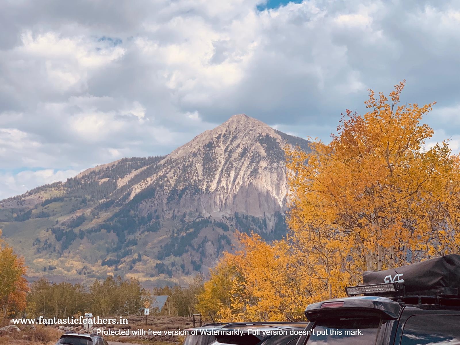 Fantastic Feathers Crested Butte and Curecanti Recreational Area