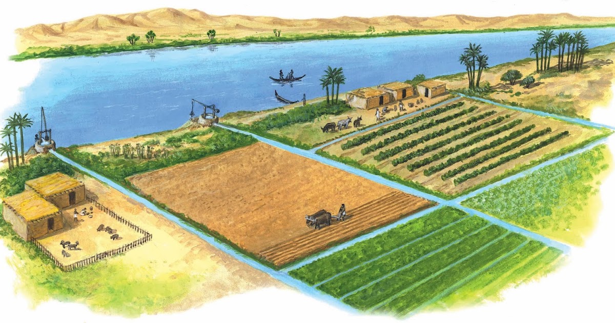 SOCIALESYA 6° Taller 4A2 La agricultura