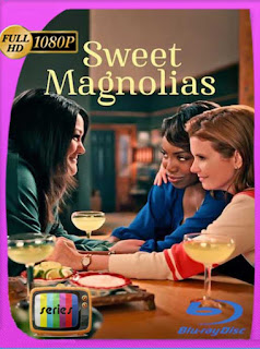 Dulces magnolias (Sweet Magnolias) (2020) Temporada 1-2-3-4 HD [1080p] Latino [GoogleDrive] SXGO