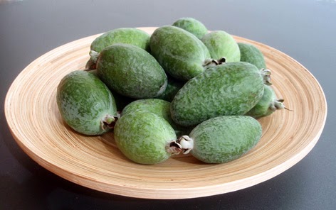 feijoas o guayabos del Brasil