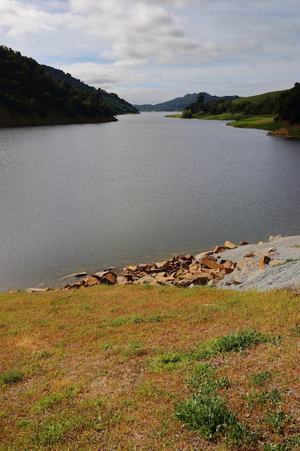 Coyote Lake County Park