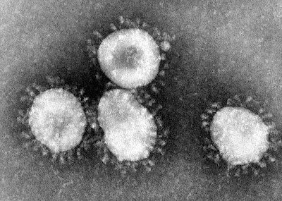 O novo coronavírus, CDC