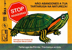 STOP INVASORAS