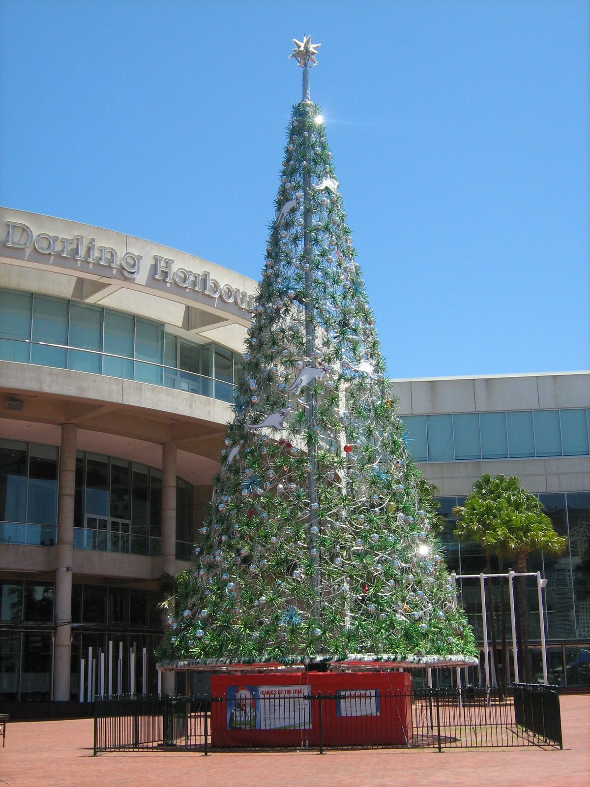 Sydney City and Suburbs Darling Harbour, Christmas Tree