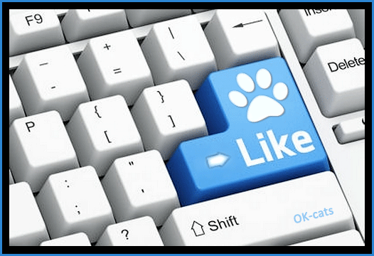 Art Cat GIF • Funny NEW keyboard for cat lovers. Now they can directly "LIKE" cat videos and pictures on the Internet Art Cat GIF • Funny NEW keyboard for cat lovers. Now they can directly "LIKE" cat videos and pictures on the Internet