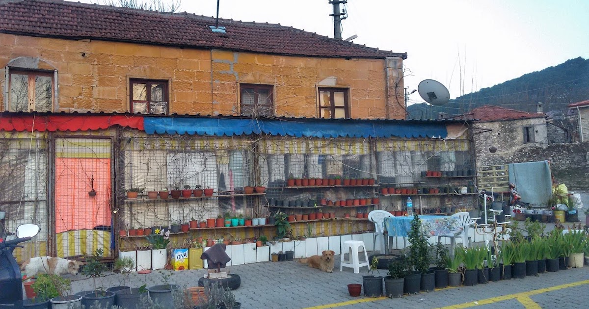 Деревня Uzumlu Фетхие