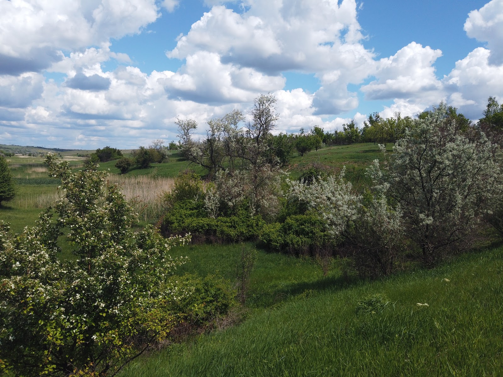 Сухая балка донецкая область. Сухая балка красноярск фото. Мемориал сухая балка. Сухая речка памятник. Сухая балка донецкая область ту 154.