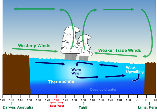 wind cycle diagram s weather forecasts el ni 241 o southern oscillation wind cycle diagram s weather forecasts el ni 241 o southern oscillation