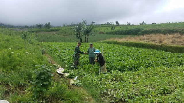 KodimKaranganyar – Semangat Babinsa Kepada Petani Sayur