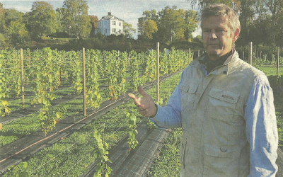 Björn Wollentz, and Lillhassla vineyard