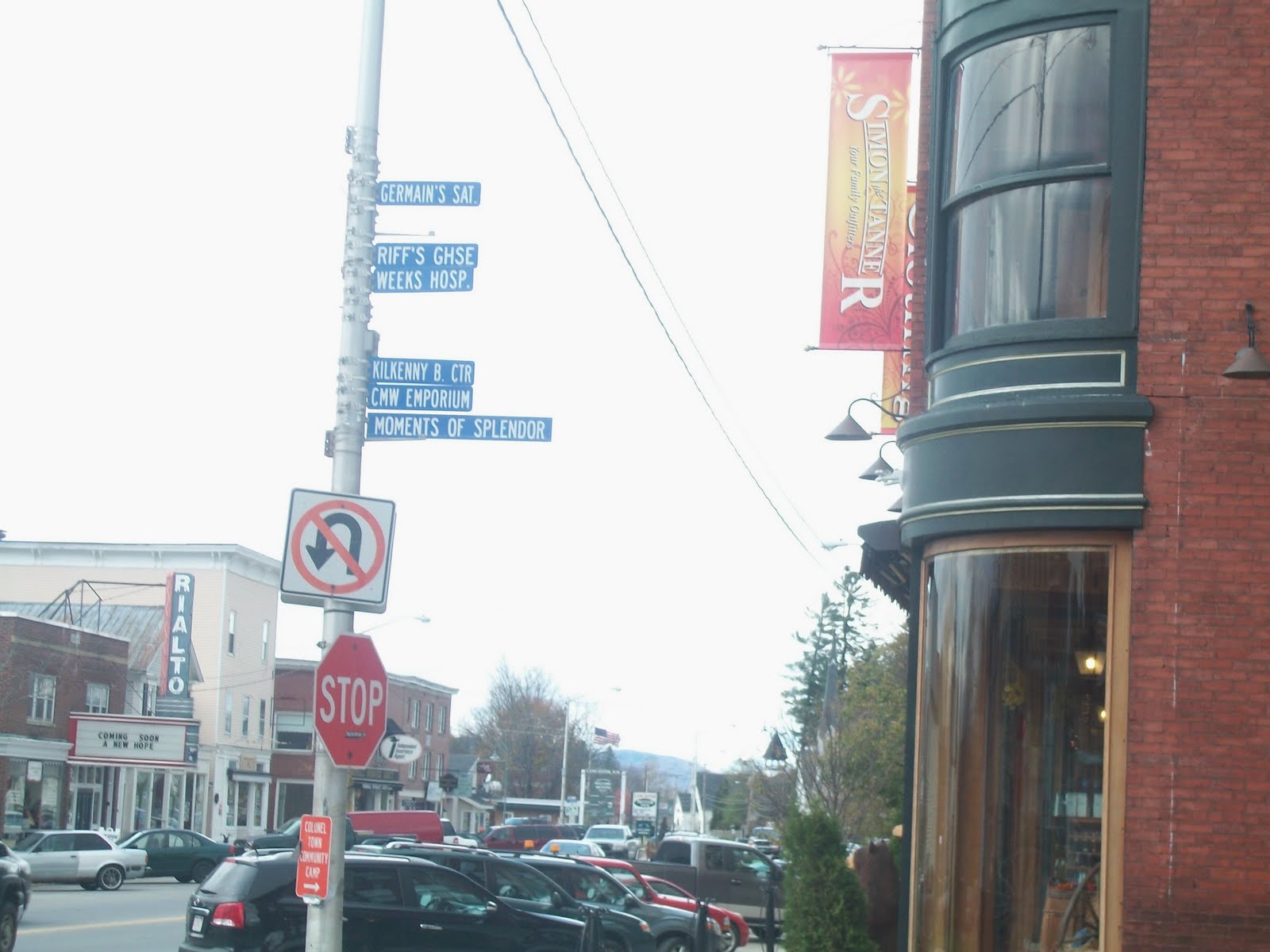 Assistant Village Idiot 11th Mostvisted post Lost Nation, NH