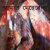 Amar Meye Bela by Toslima Nasrin