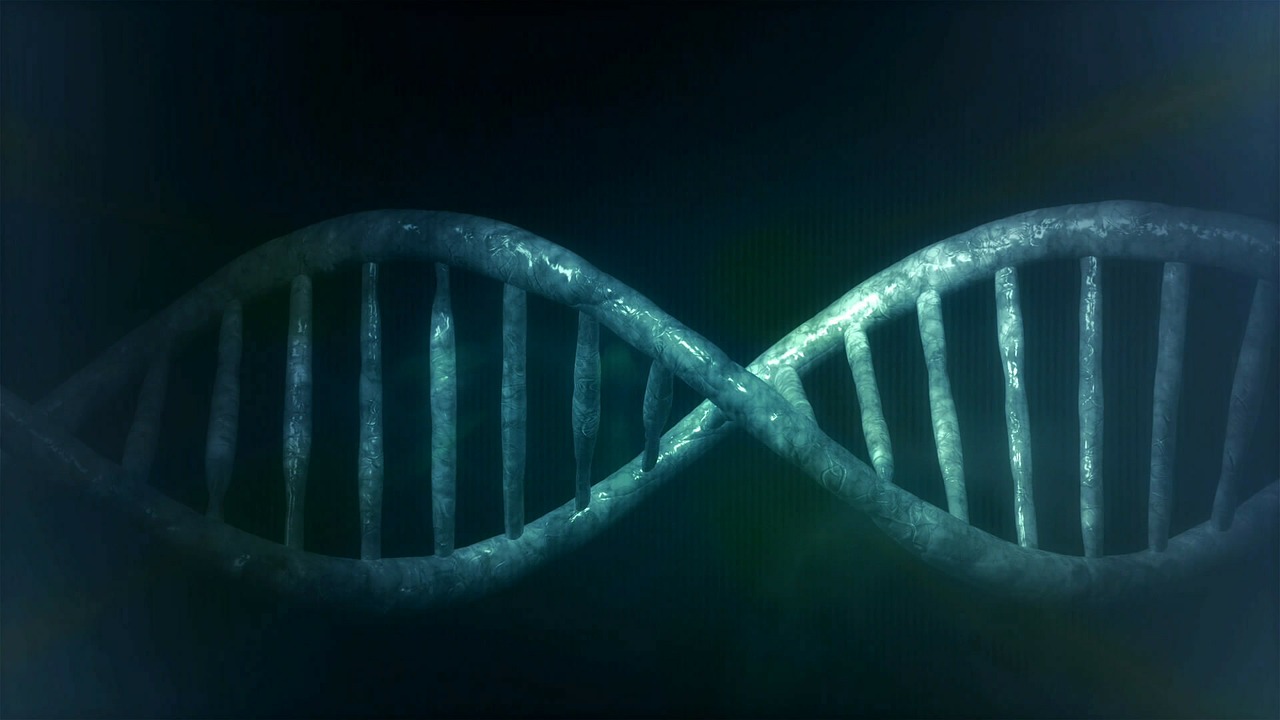 Virus with DNA (Dna virus)
