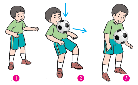 Nuansa Pendidikan Variasi Dan Kombinasi Gerak Dasar Dalam Permainan Sepak Bola Daring Penjas Kelas 6