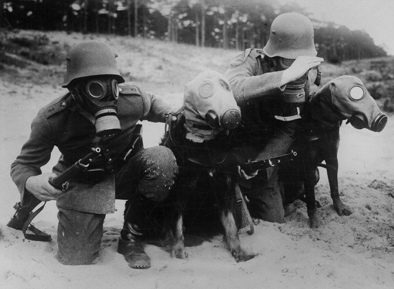 german soldier with dog gas mask german soldier with dog gas mask