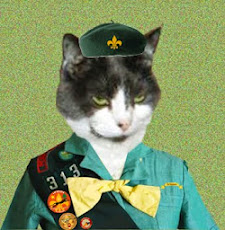 I am Proud to be a Cat Scout: Tender Paws