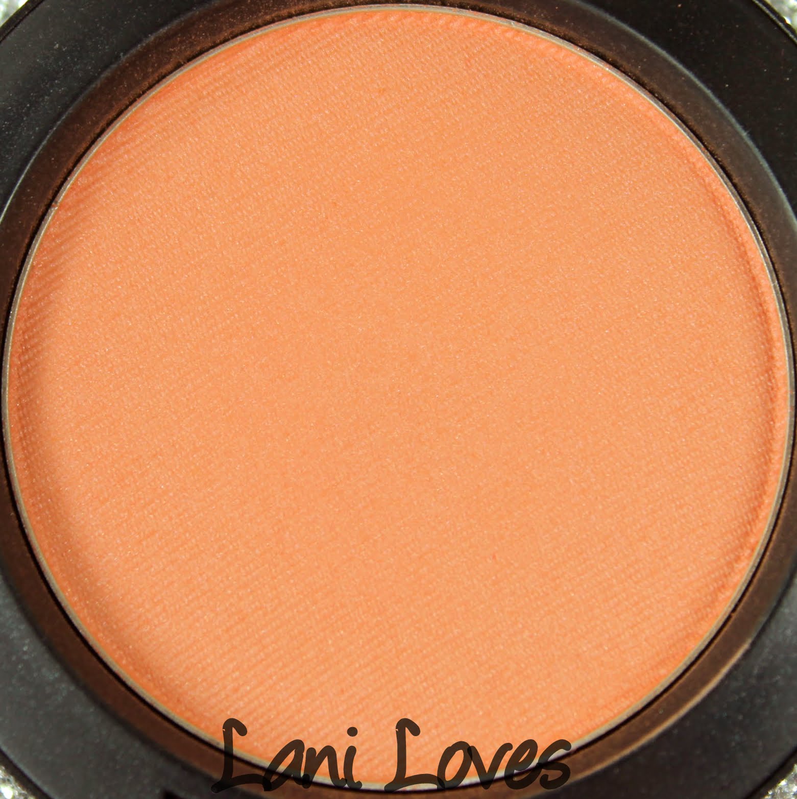 MAC Modern Mandarin Blush Swatches & Review Lani Loves