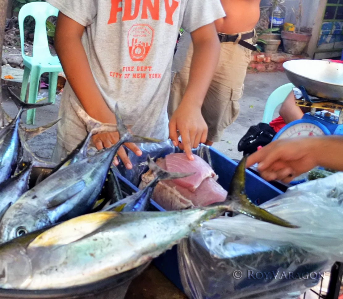 kilawen a sosay tanigue tangngigue king fish ceviche pinakbet kilawen a sosay tanigue tangngigue king fish ceviche pinakbet