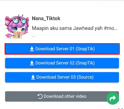Cara Download Video Tiktok Tanpa Watermark Melalui Situs snaptik.app
