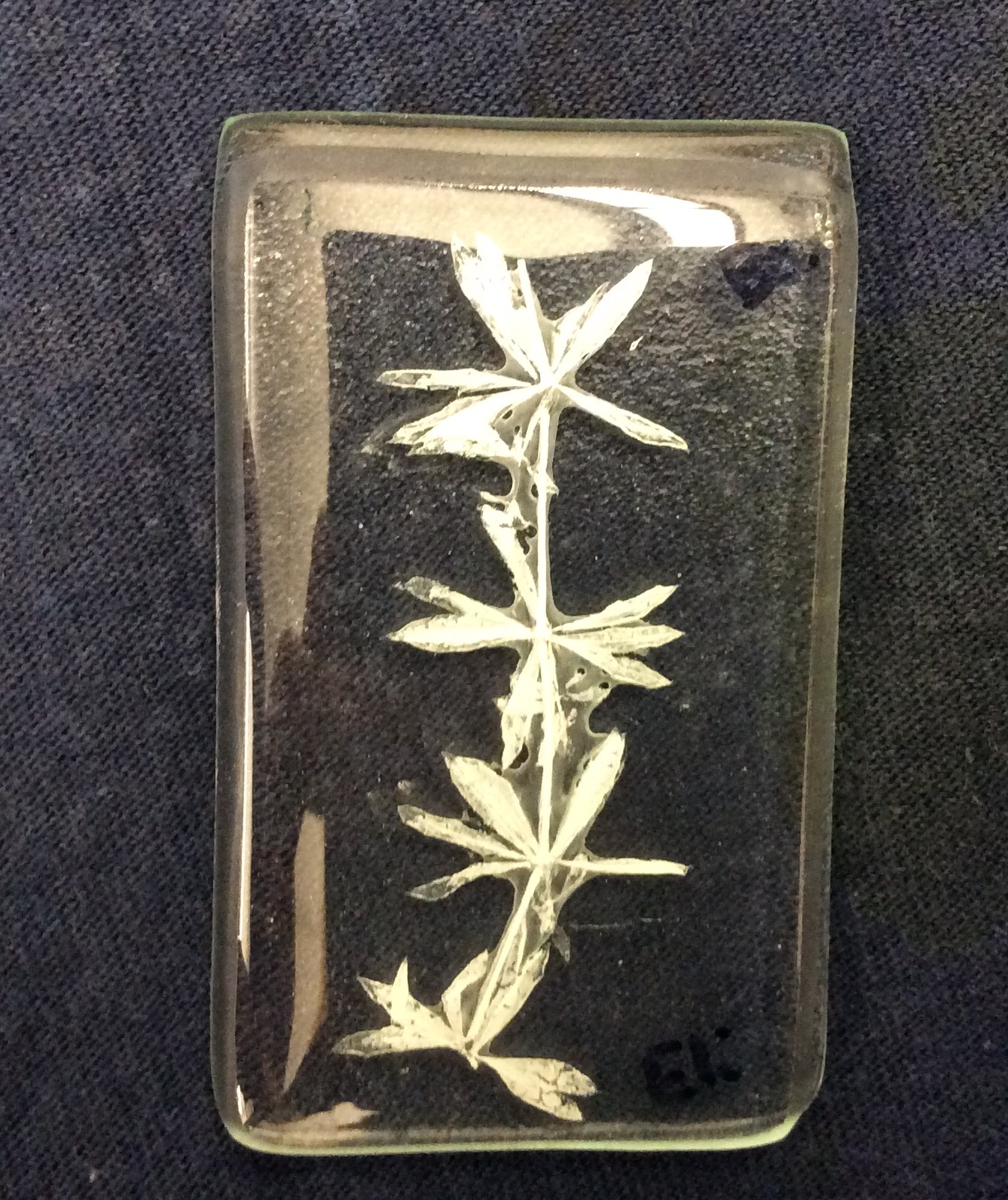 Art with Mrs. Elliott Glass and Fossils An Artist Residency in Review