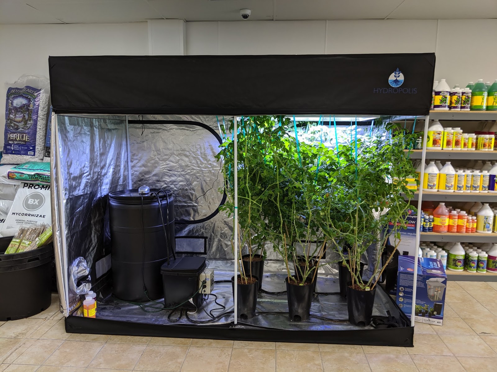 Hydroponic Grow Tents