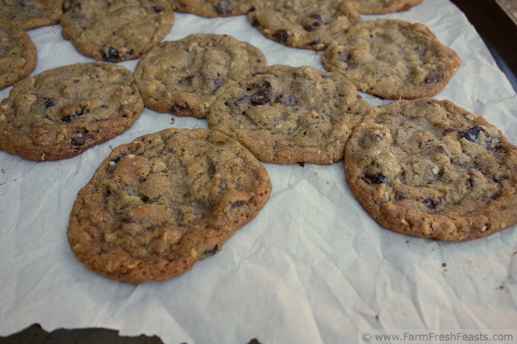 Farm Fresh Feasts Double Chocolate Cherry Oatmeal Cookies