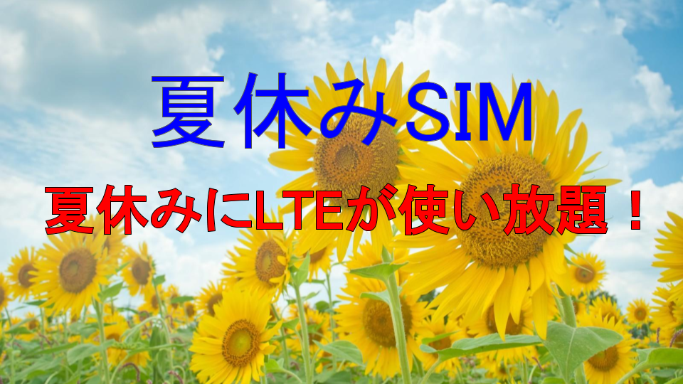 夏休みSIM