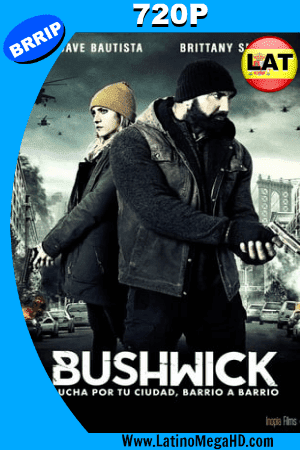 Bushwick (2017) Latino HD 720P (2017)
