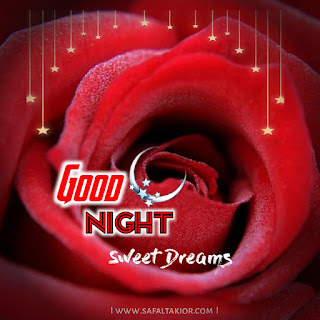 good night images with red rose flower