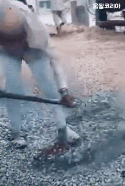 umjjal_kr_209.gif