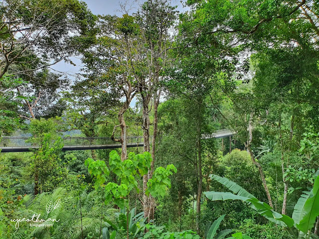 The Habitat, Penang Hill