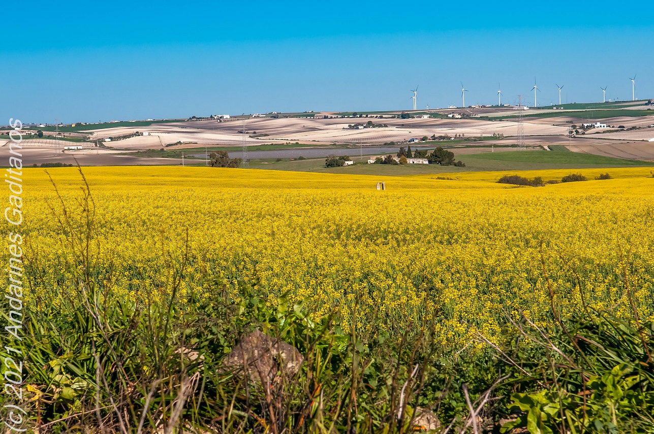 . CIRCULAR AL COMPLEJO ENDORRÉICO DEL