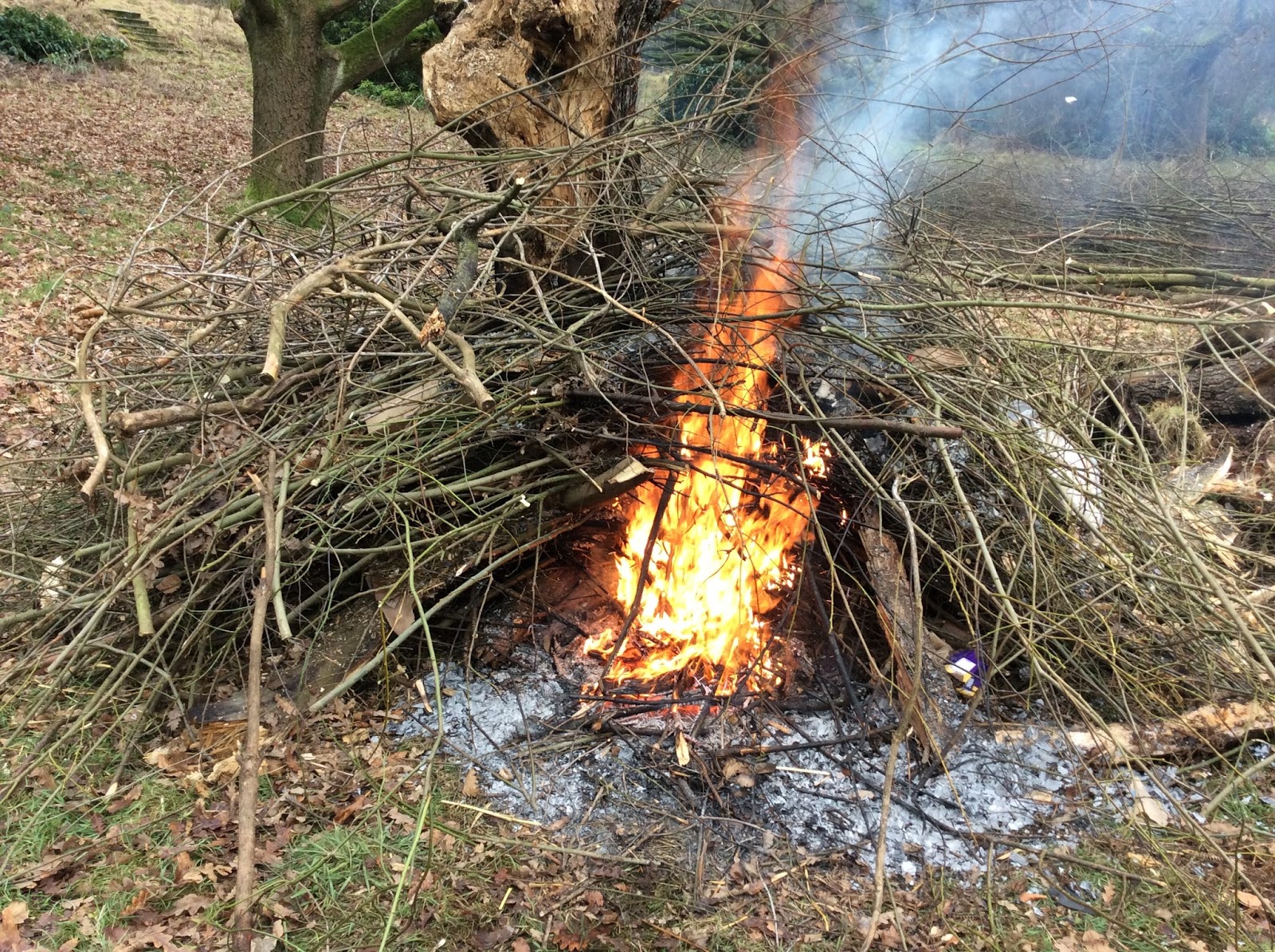 Uses for Wood Ash | Life on Pig Row