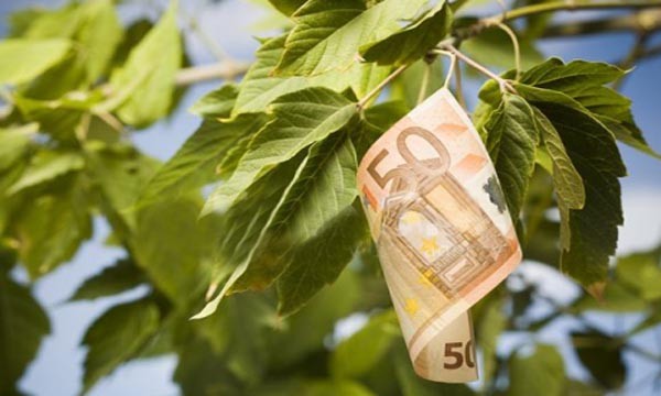 Καστοριά:Λήγει στις 15 Μαΐου  2013, η Ημερομηνία Υποβολής Αιτήσεων για την Εξισωτική Αποζημίωση, έτους 2013
