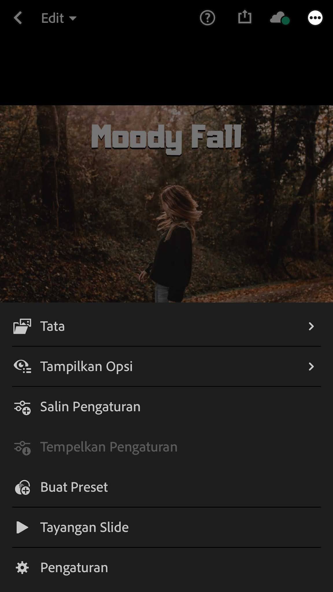 Tutorial Cara Menambah Preset di Lightroom iOS/ Iphone Dengan Mudah
